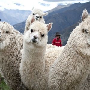 Meet your Posher, Elyssa